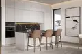 Жилой квартал Horizonte Village Villas Fase 2