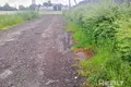Grundstück  Sienica, Belarus