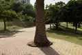 Appartement 1 chambre 80 m² Dos Hermanas, Espagne