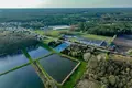 Atterrir 2 293 m² Zielonagora, Pologne