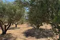 Parcelas  Region of Crete, Grecia