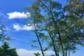 Commercial property 450 m² in Karon, Thailand