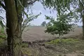 House 825 m² Kokorzyn, Poland