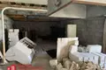 Commercial property 153 m² in Sapockinski sielski Saviet, Belarus