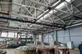 Produktion 9 999 m² Jalizauski sielski Saviet, Belarus