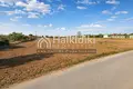Parcelas 10 000 m² Nea Kallikrateia, Grecia