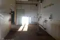 Commercial property 1 room 109 m² in Riga, Latvia