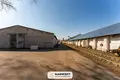 Lager 7 189 m² Smaljawitschy, Belarus