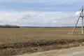 Działki  Luhavaslabadski sielski Saviet, Białoruś
