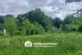 House 30 m² Haranski sielski Saviet, Belarus