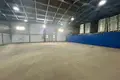 Warehouse 1 room 220 m² in Minsk, Belarus