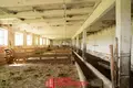 Коммерческое помещение 175 м² Хидринский сельский Совет, Беларусь