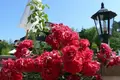 Apartment  Sozopol, Bulgaria