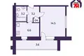 1 room apartment 28 m² Salihorsk, Belarus