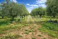 Parcelas 22 000 m² Sozopoli, Grecia