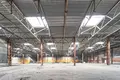 Склад 10 комнат 290 м² в Радошковичском сельском Совете, Беларусь