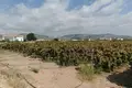 Land  Peyia, Cyprus