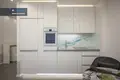 Квартира 1 комната 45 м² в Вильнюсе, Литва