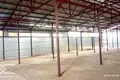 Склад 200 м² в Дворище, Беларусь