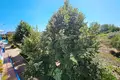Квартира 2 комнаты 50 м² Несебр, Болгария