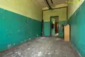 Gewerbefläche 12 zimmer 120 m² in Stankava, Belarus