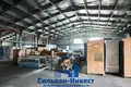 Warehouse 12 251 m² in Minsk, Belarus