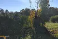 Дом 55 м² Воложинский сельский Совет, Беларусь