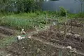 Haus 32 m² Bor, Russland
