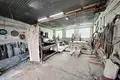 Manufacture 20 m² in Brest, Belarus