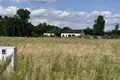 Atterrir 844 m² Zielniki, Pologne