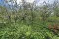 Land  Jzufouski sielski Saviet, Belarus