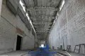 Warehouse 13 700 m² in Niemanicki sielski Saviet, Belarus
