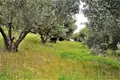 Land 1 room  Agios Stefanos, Greece