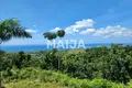 Atterrir  Las Terrenas, République dominicaine
