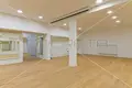 Commercial property 219 m² in City of Zagreb, Croatia