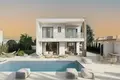 Дом 4 спальни 210 м² Androlikou, Кипр