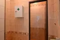 Коммерческое помещение 40 м² Столица Прага, Чехия