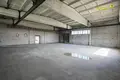 Manufacture 12 000 m² in Novalukoml, Belarus