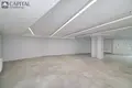 Gewerbefläche 118 m² Vilnius, Litauen