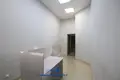Propiedad comercial 353 m² en Minsk, Belarús