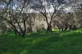Земельные участки 1 комната  Соулейка, Греция