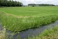 Atterrir 110 000 m² Tbilissi, Géorgie