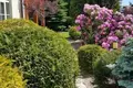 Maison 8 chambres 320 m² Piaseczno, Pologne