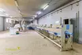 Manufacture 468 m² in Mikhanavichy, Belarus