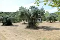 Grundstück 1 zimmer 8 620 m² Gemeinde Aristotelis, Griechenland