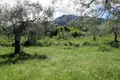 Land 1 room  Thassos Municipality, Greece