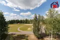 1 room apartment 50 m² Kalodziscanski sielski Saviet, Belarus
