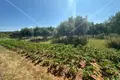 Działki 45 000 m² Opcina Tisno, Chorwacja