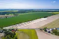 Atterrir 2 558 m² Sulejewo, Pologne