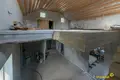 Chalet 335 m² Svislac, Bélarus